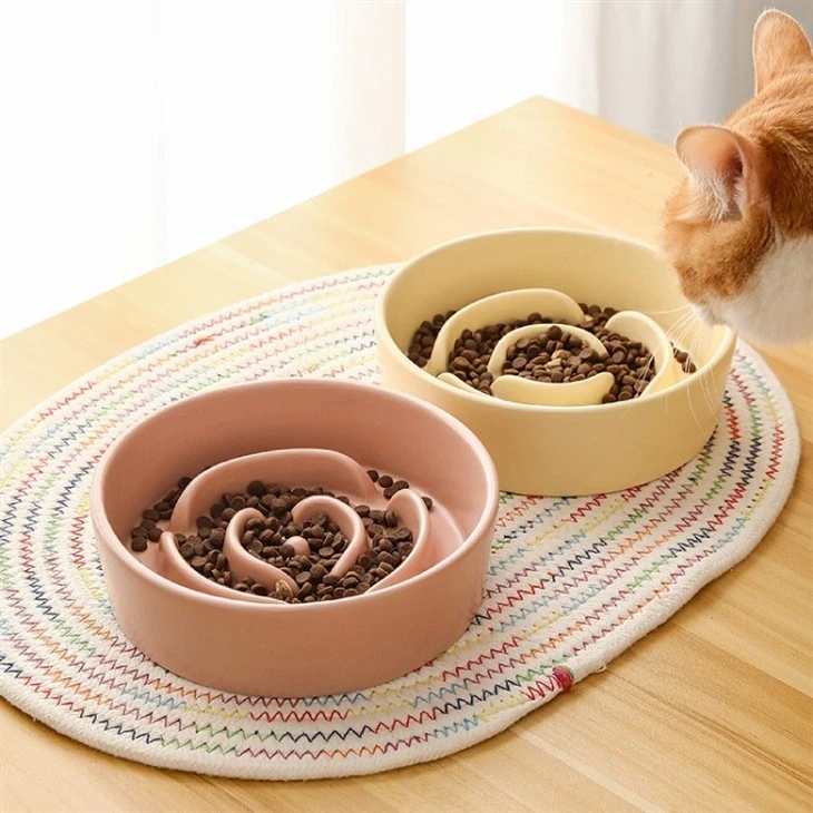 Ceramic Slow Feeder Bowl