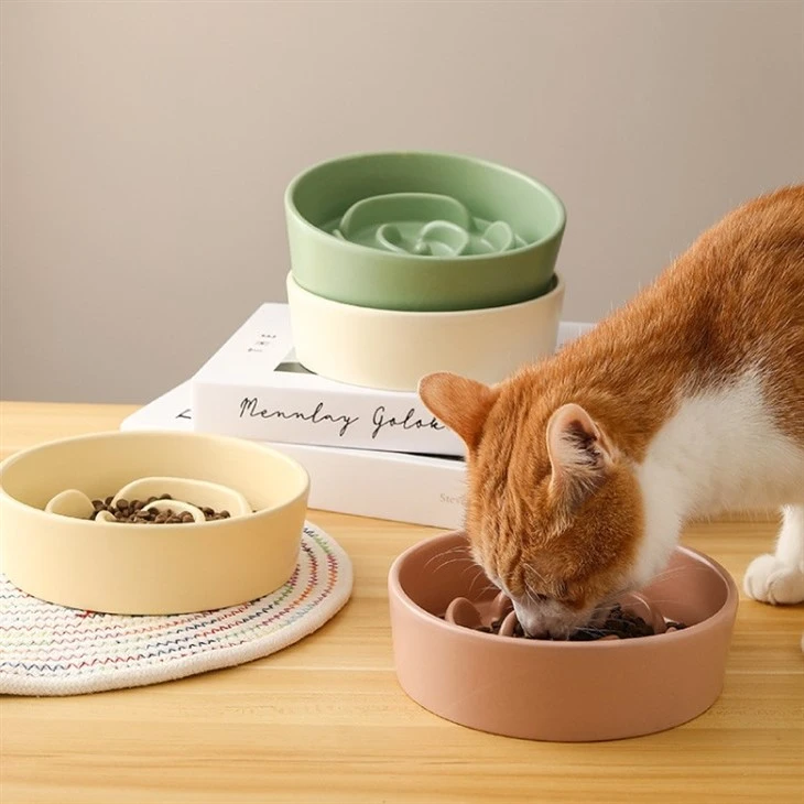 Ceramic Slow Feeder Bowl