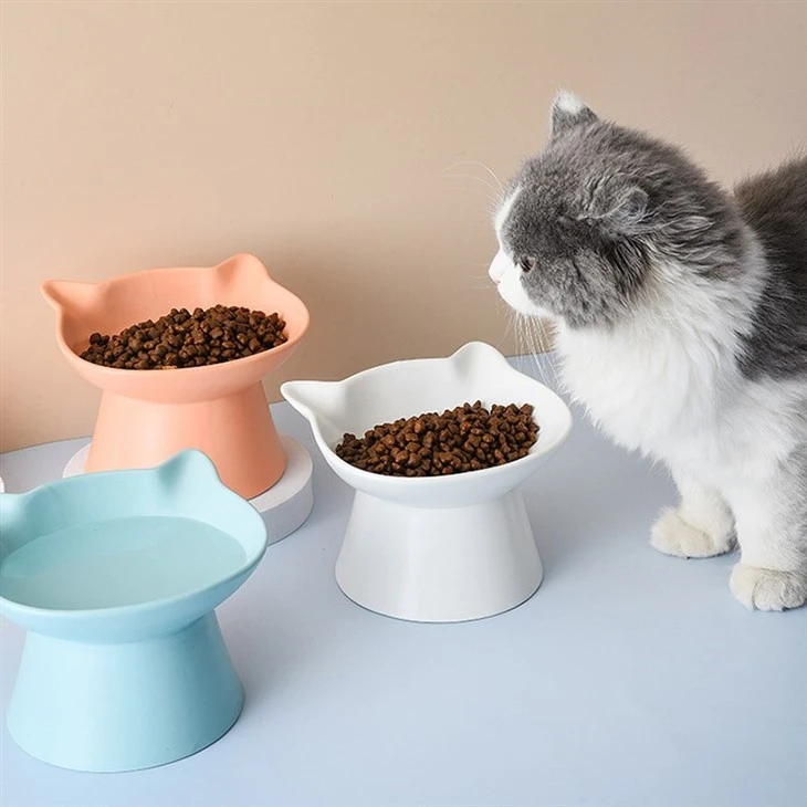 Elevated Cat Food Dish