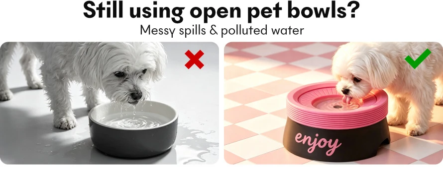 floating dog bowl 2 floating dog bowl 2