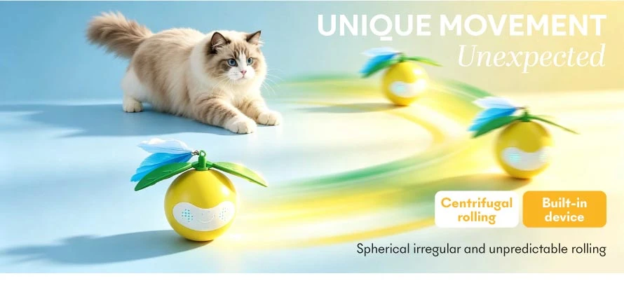 interactive cat ball toy 3