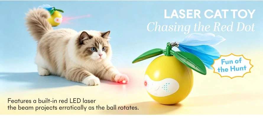 interactive cat ball toy 2