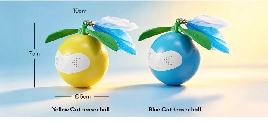 cat play balls08