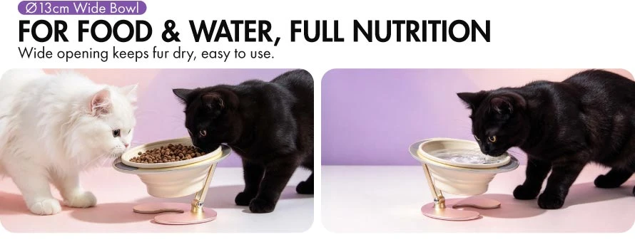 cat food bowl 6 cat food bowl 6