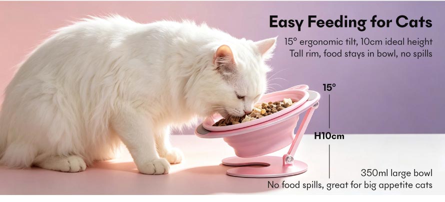 collapsible pet bowl 4 collapsible pet bowl 4